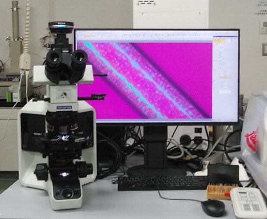 高分子相構造解析システム