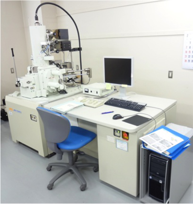 走査型電子顕微鏡(SEM)